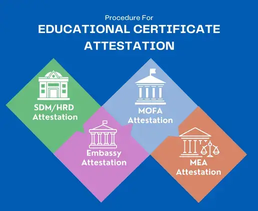 education_procedure