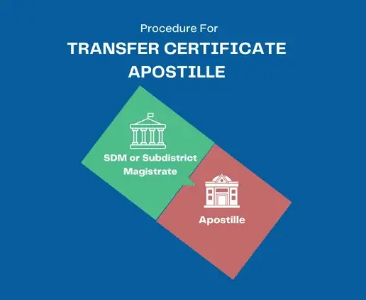 transfer-certificate-apostille